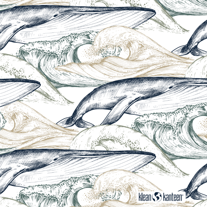 20oz-tkwide-with-twist-cap-ocean-day-w0 20oz_tkwide_bottle_seasonal_ocean_day_whale_artwork_square.png