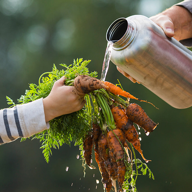 64oz-wide-with-loop-cap-i3 64oz_wide_mouth_bottle_carrots_rinse_square.jpg