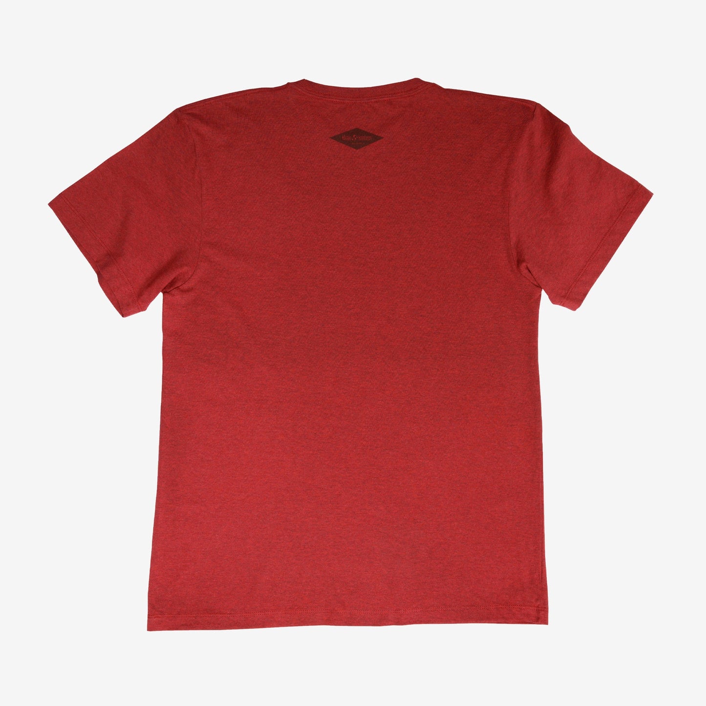backyard-t-shirt-v8 Shirt_Mtn_Back.jpg
